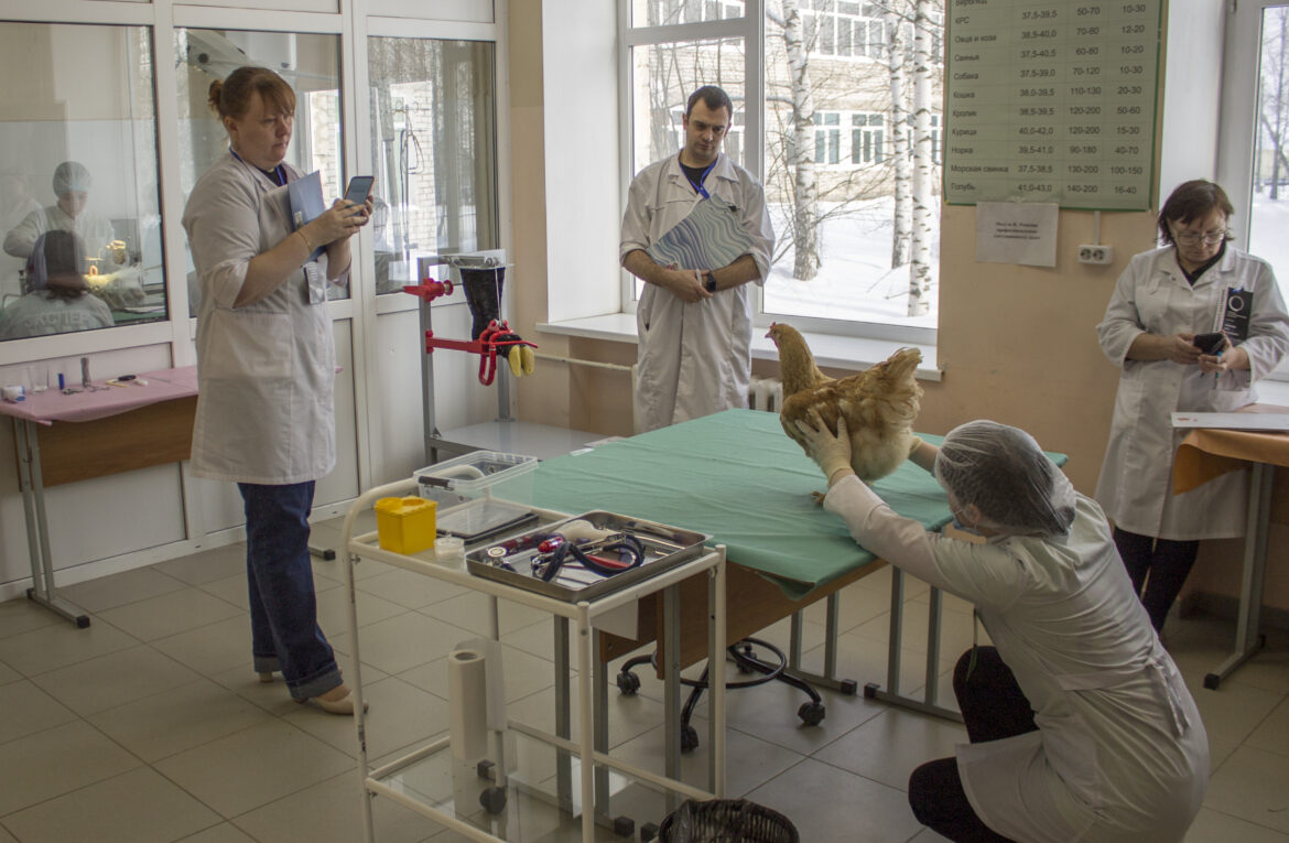 КОМПЕТЕНЦИЯ ВЕТЕРИНАРИЯ