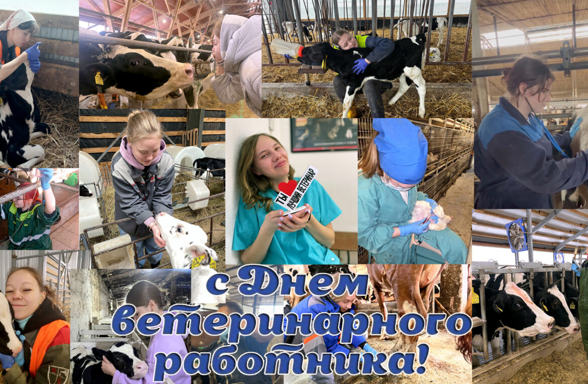 ДЕНЬ ВЕТЕРИНАРНОГО РАБОТНИКА РОССИИ